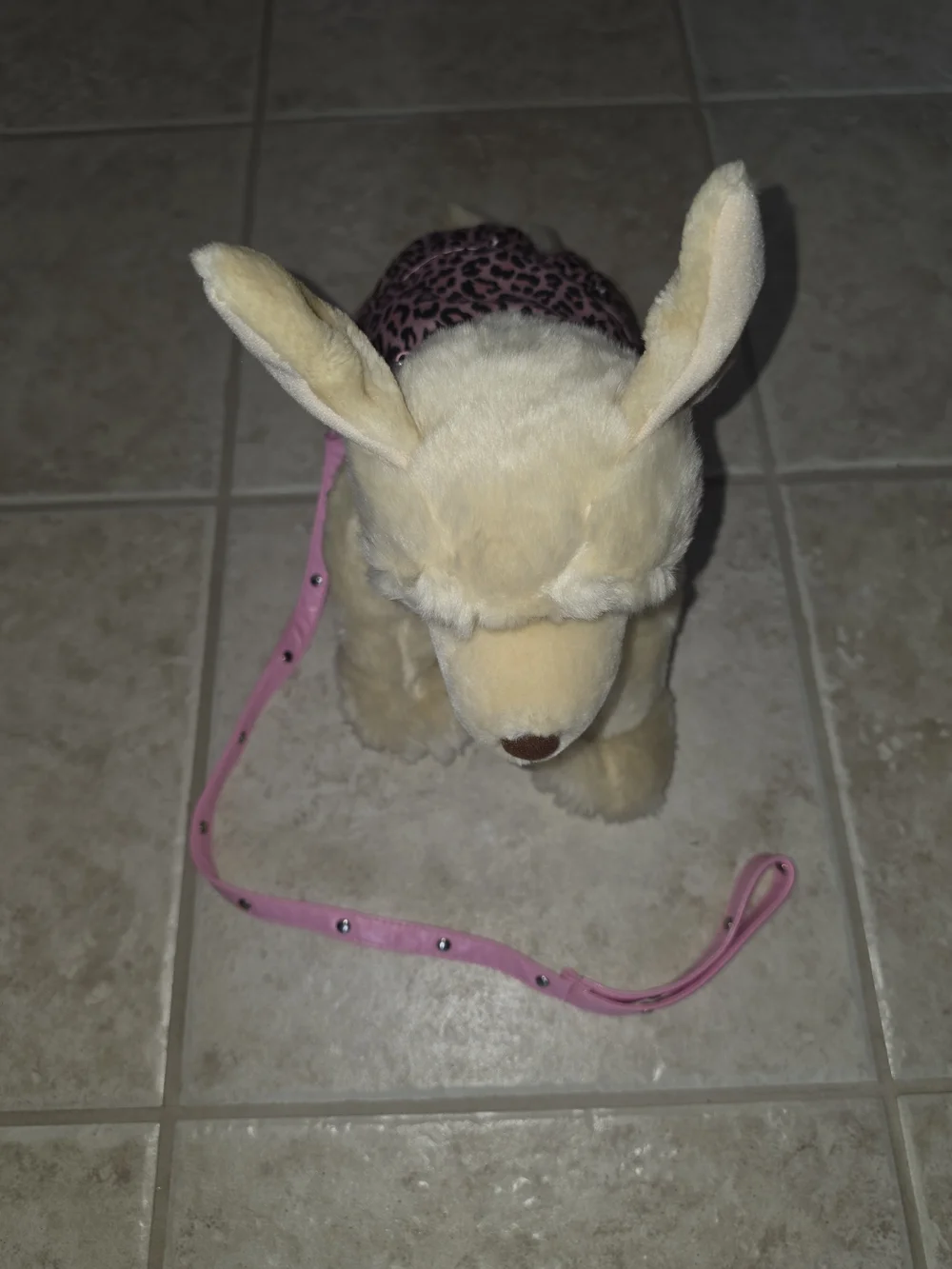 Build-A-Bear Cream Plush Dog  Pink Leash & 2 Pc Outfit $48 EUC
